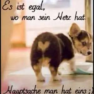 Anke Heming
