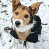 Frieda