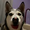 Oskar