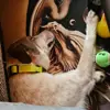Ben
