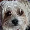 Betty 