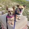 Jule&Mikki 