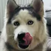 Finja