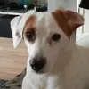 BRIAN