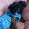 Charlie