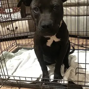 Mia