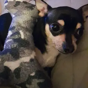 Charly