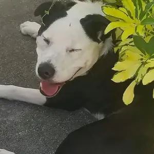 Lucy