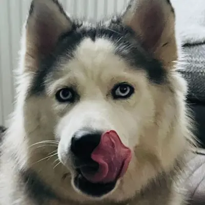 Finja