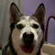 Oskar