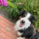 Ben