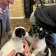 Cooper und cody